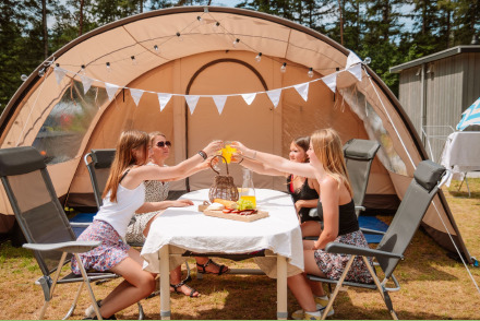 Recreatiepark Samoza een gezellige gezinscamping op de Veluwe HW350